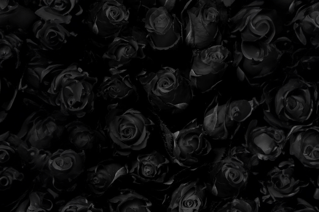 Black Rose