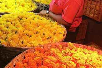 Dadar Flower Market in Mumbai 