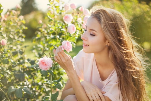 Fragrant flowers in a garden