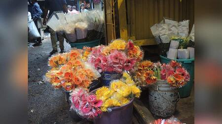 Mullick Ghat Flower Market Telegraph