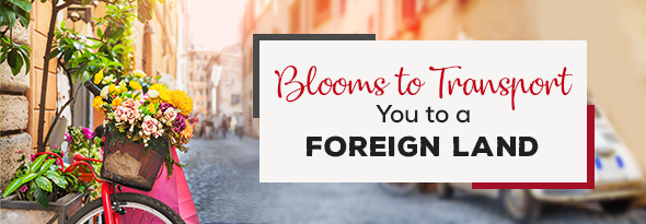 Blooms to Transport You to a Foreign Land