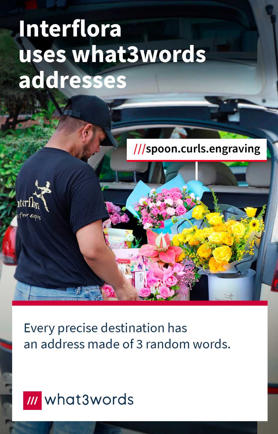 Enter the World of what3words