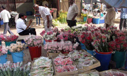 Ghazipur Flower Market in Delhi