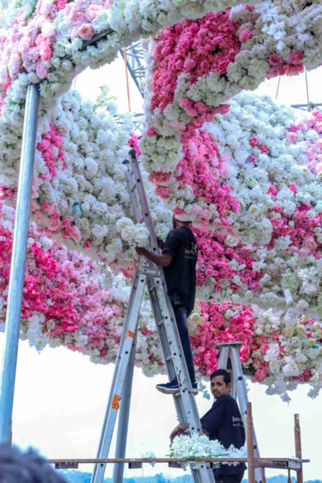 Indian Flowers