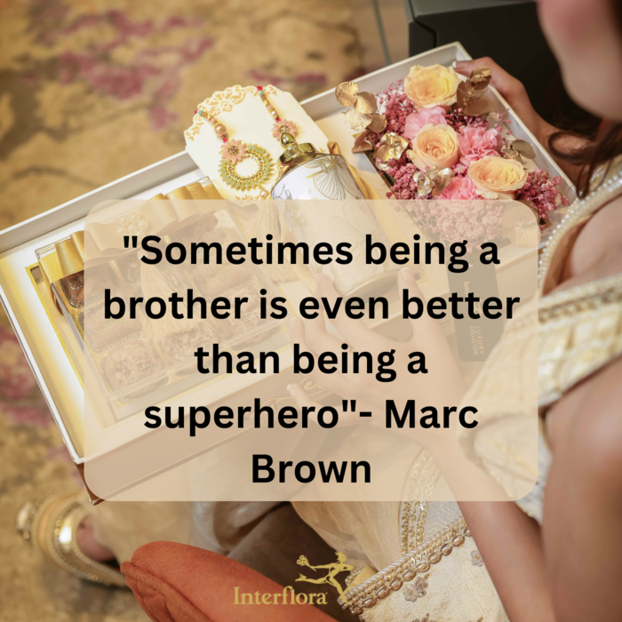 Bro Sis Quotes 