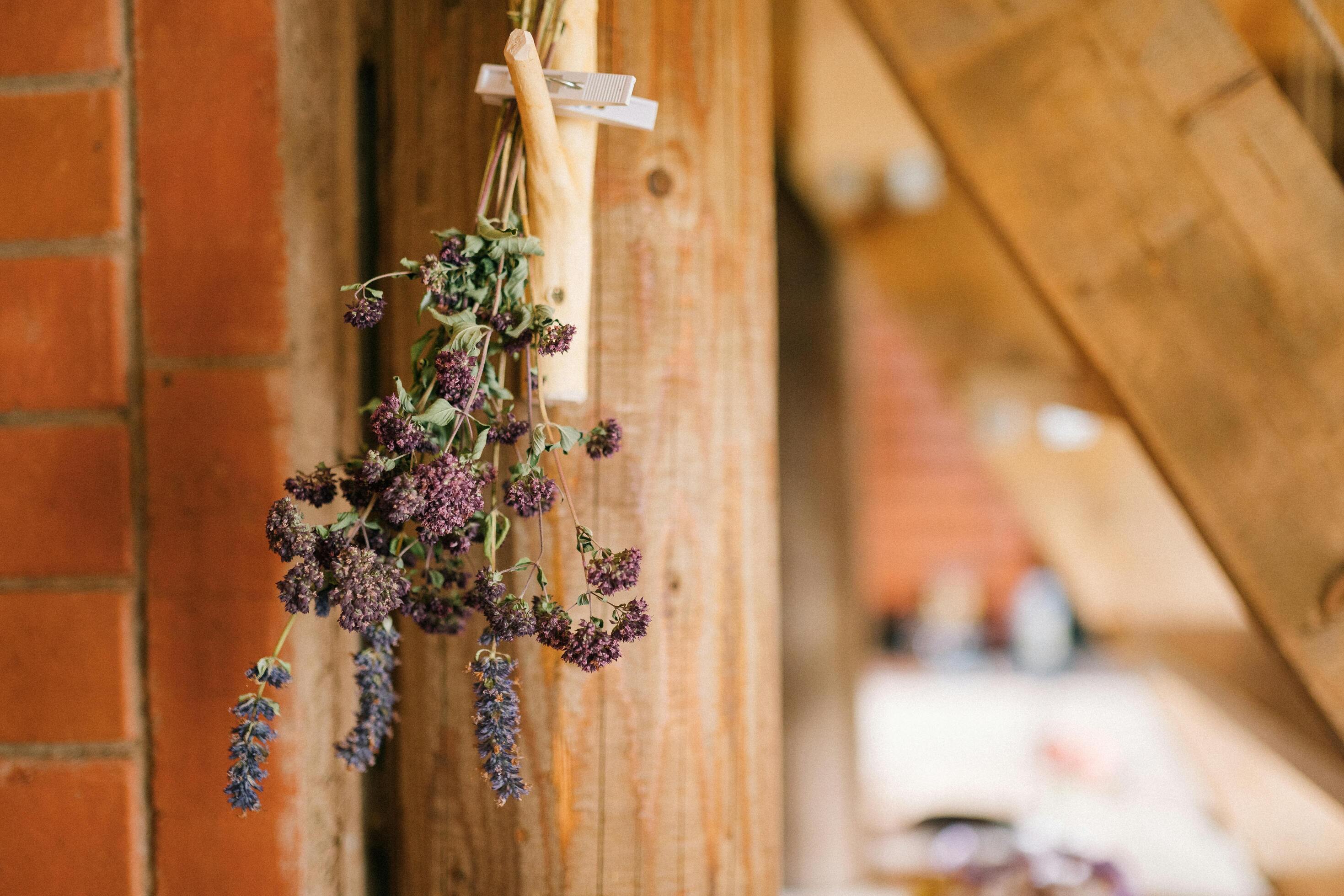 Air Drying Preserving Flowers at Home 