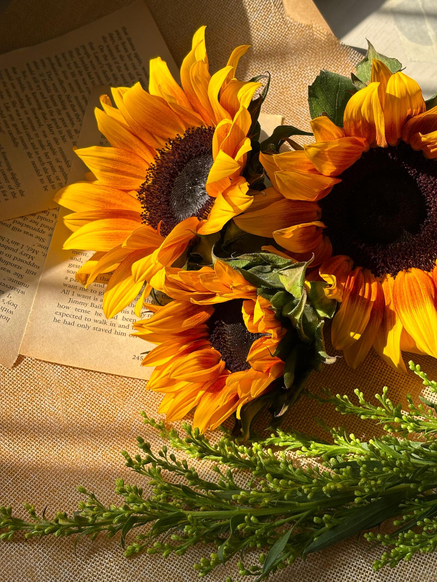 Sunflower Online