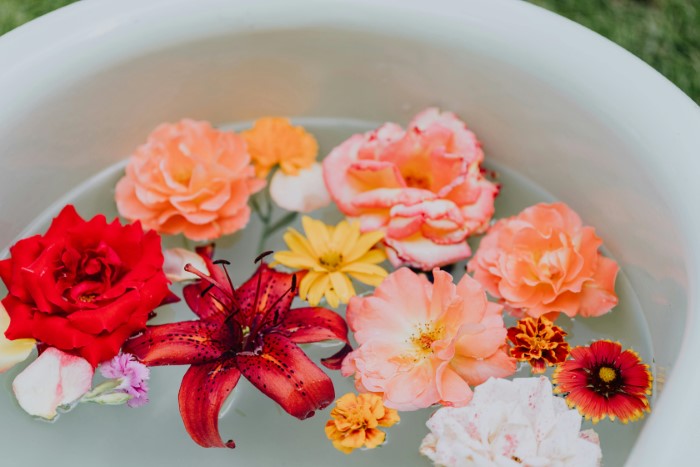 Zinnia flowers