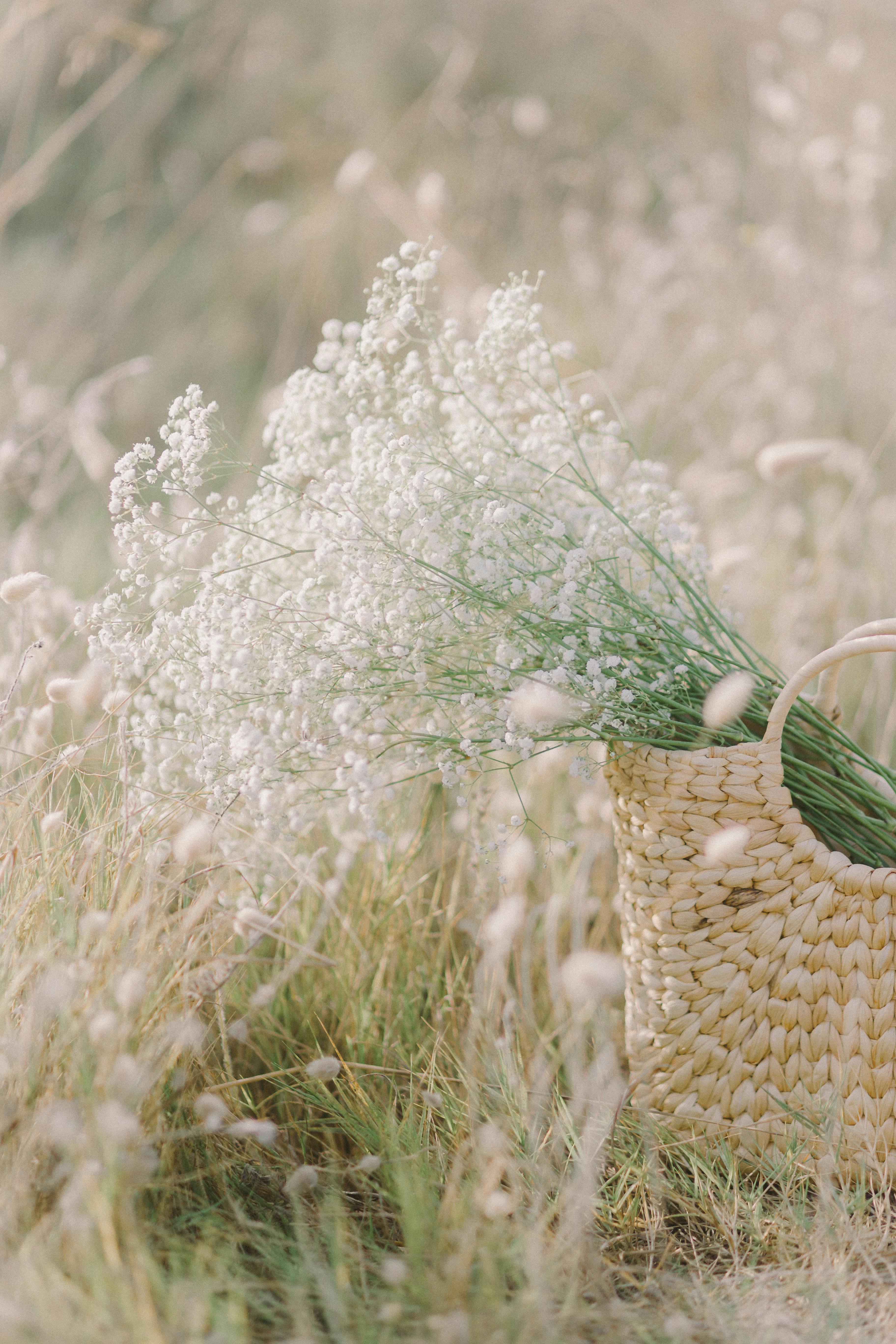 White Flower