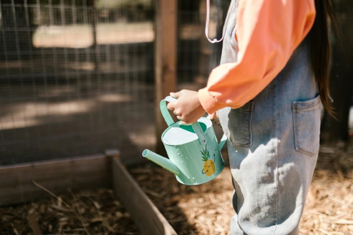 Watering