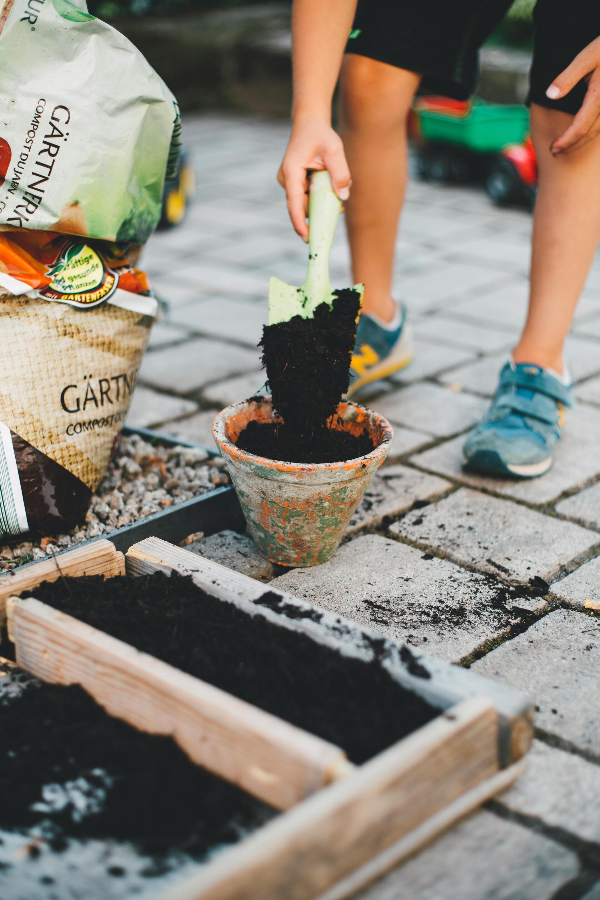 Fertilizer for flowers